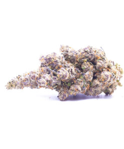 purplemoby