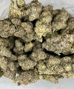 purplemoby2