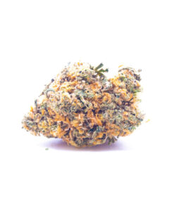 mangodream1