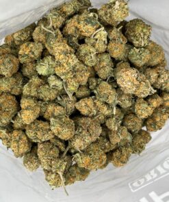 mangodream2