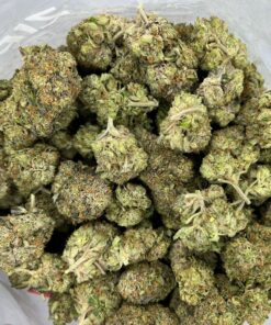 rockstarkush2