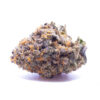 tangerinedream1