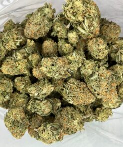 nycheese2