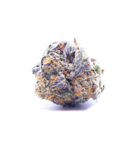 baker1