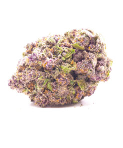 dragonfruit1