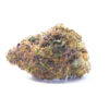 mendobreath1