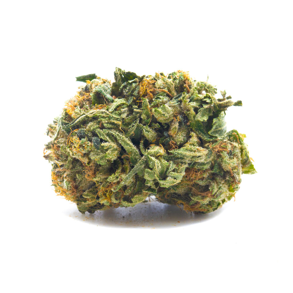 rockbud1
