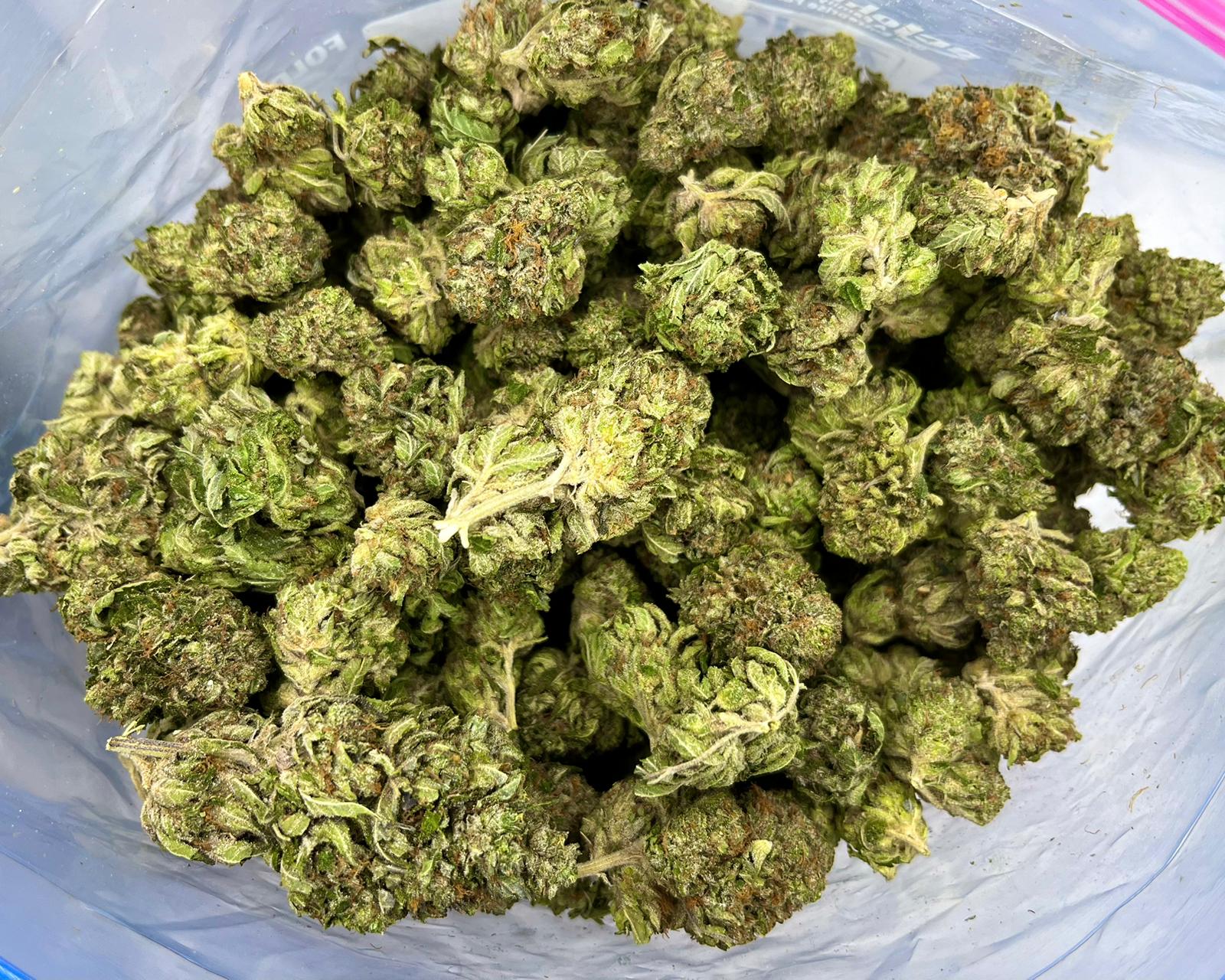rockbud2