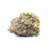 sensistar1