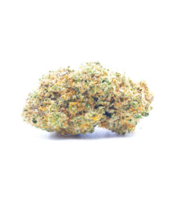 sweetcheese1