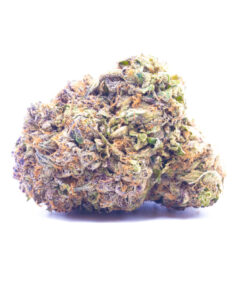 frosty1