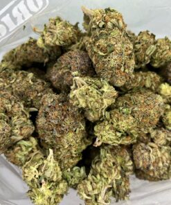 frosty2