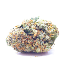 lemonbubble1