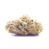 jamaicadream