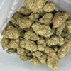 jamaicadream2
