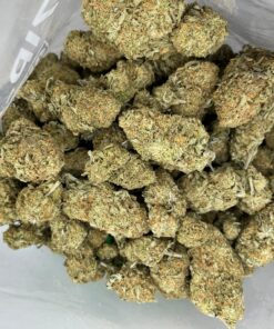 jamaicadream2