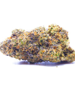 gobstopper1