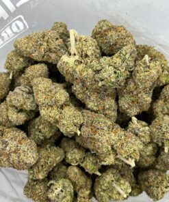 gobstopper2