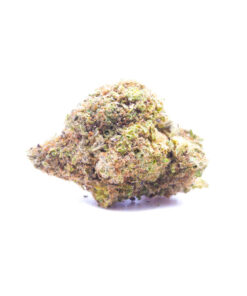 hawaiianrain1