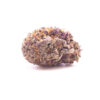 slurricane1