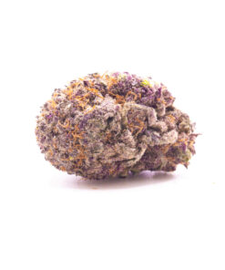slurricane1