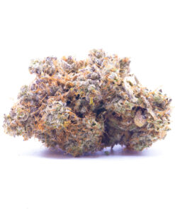candyland1
