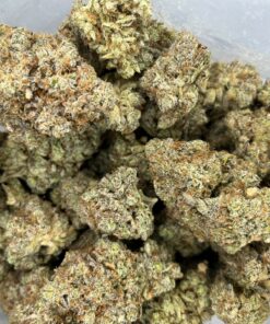 candyland2