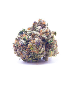royalkush