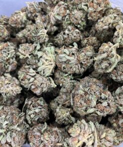 royalkush2