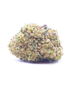 daytripper1