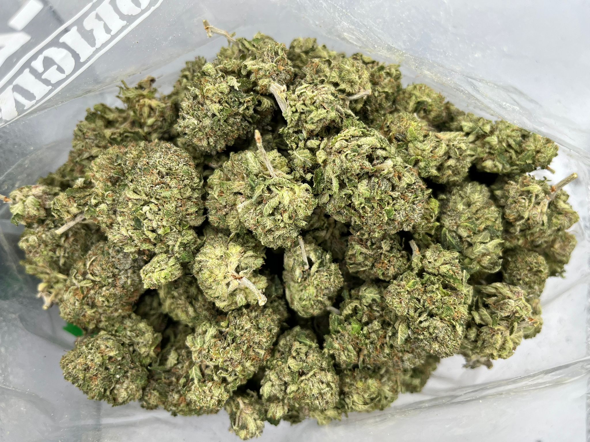 flora2