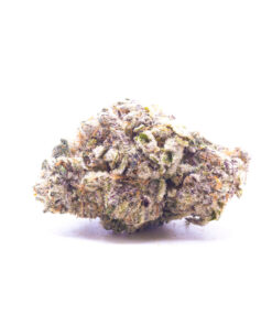 purpledream1