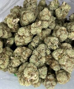 crackerjack2